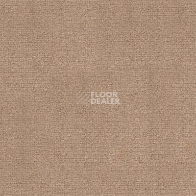 Ковролин Radici Abetone Beige 4129 фото 1 | FLOORDEALER